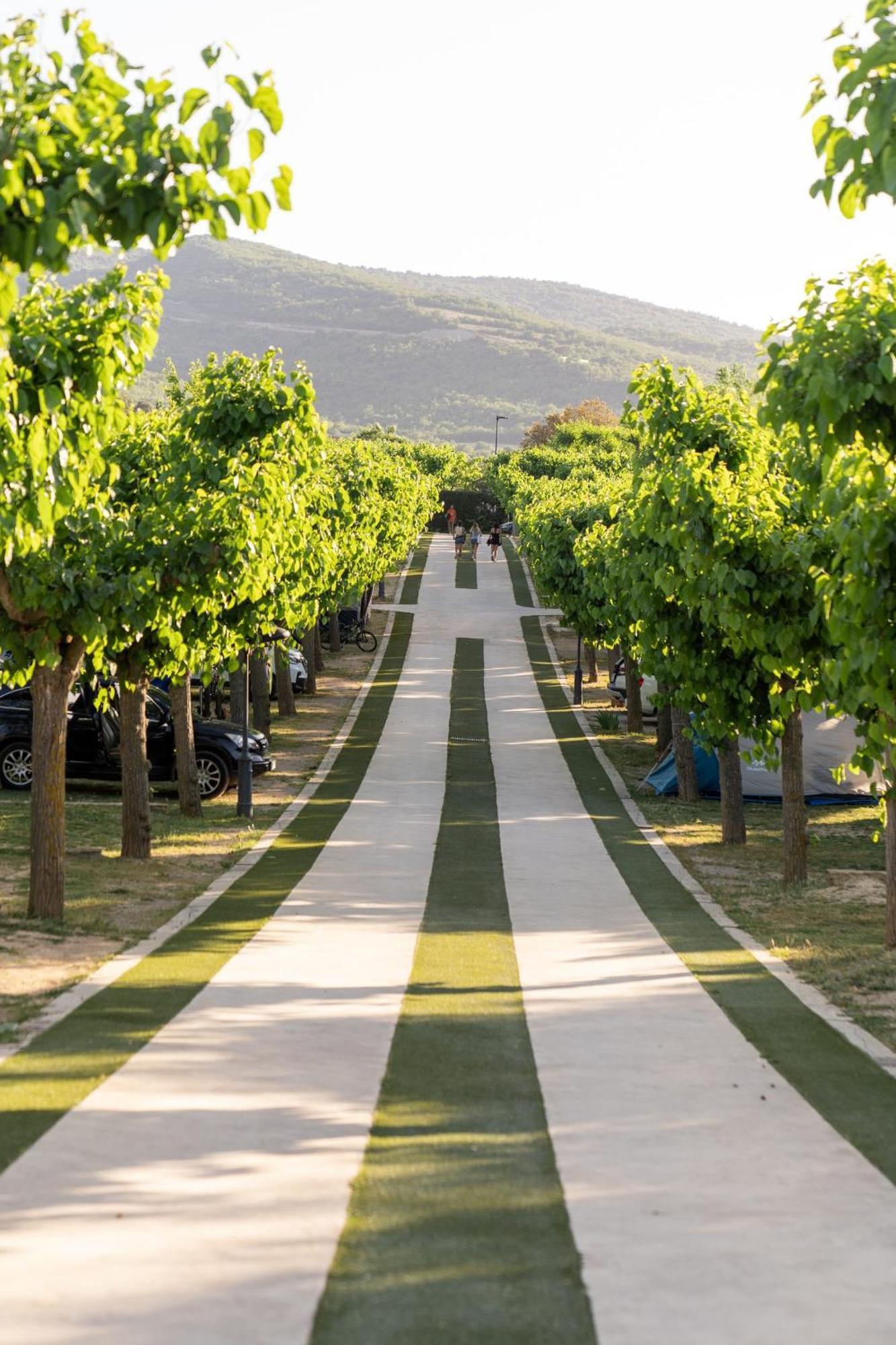 Vall D'Ager Resort & Camping Dış mekan fotoğraf